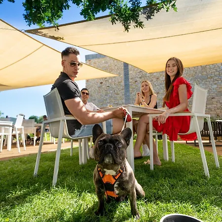 Hotel Fenyves Yacht Club Superior Balatonfenyves