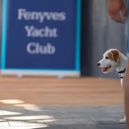 Fenyves Yacht Club Superior ホテル バラトンフェニヴェシュ